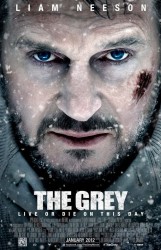 the grey