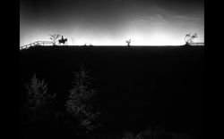 the night of the hunter