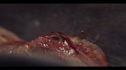 prey for diamonds 2
