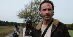 THE WALKING DEAD SEASON 4
