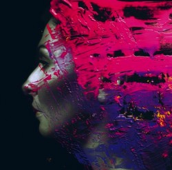 Steven Wilson Hand. Cannot. Erase.