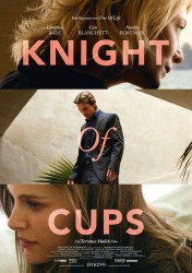 Knight of cups